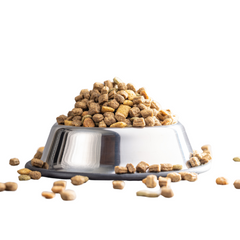 Collection image for: Katten Voerbakken