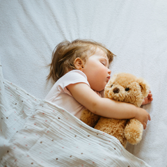 Collection image for: Baby Slaapknuffels