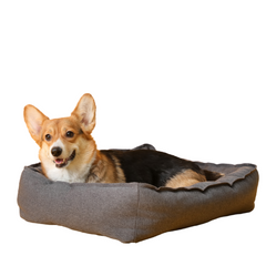 Collection image for: Honden Bedden & Manden