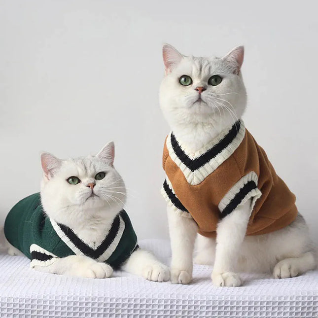 Huisdiertrui Pullover voor katten