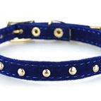 Blauw met goud