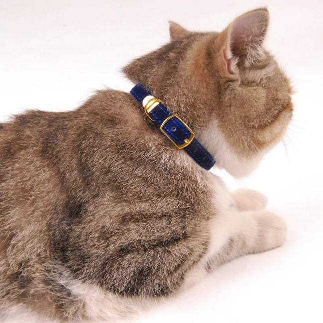 Halsband voor katten