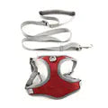 Vest-Style Leash for Cats and Dogs