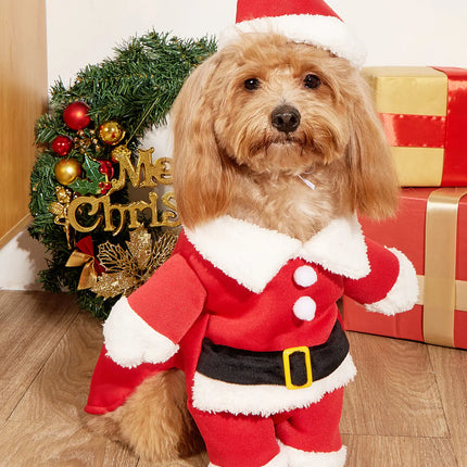 Christmas Costume for Small Dogs