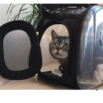 Transparent Pet Backpack for Cats and Dogs