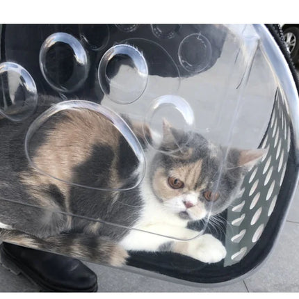 Transparent Pet Backpack for Cats and Dogs