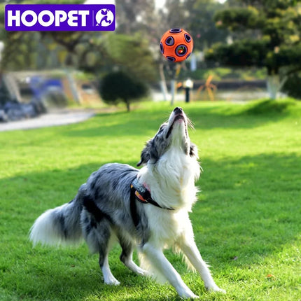 HOOPET Interactief Bal Kauwspeeltje Voor Hond