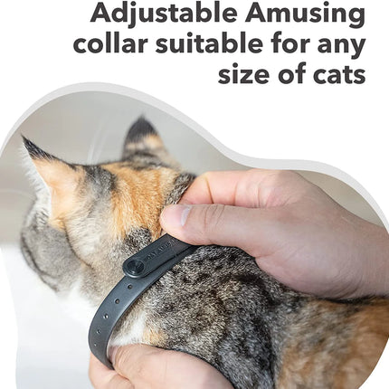 Laser Collar Toy for Cats