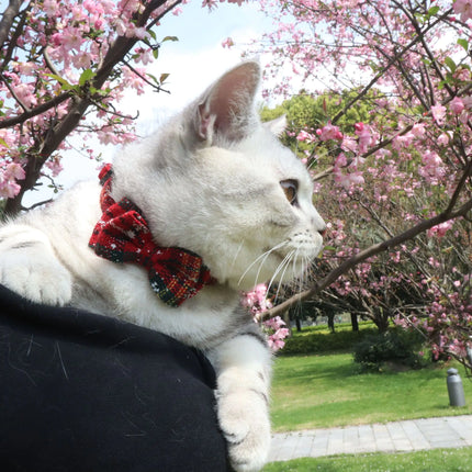 Rode gestreepte kattenhalsband