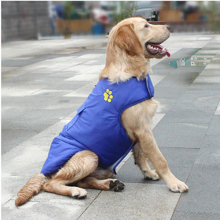 Winter Cotton Coat for Dogs